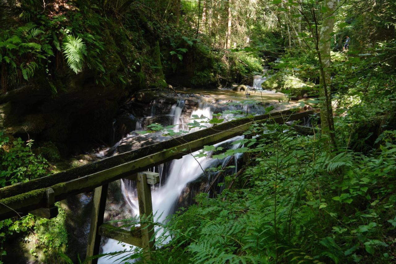 Erlebnisbauernhof Steinerhof In Kaernten Liebenfels Zewnętrze zdjęcie