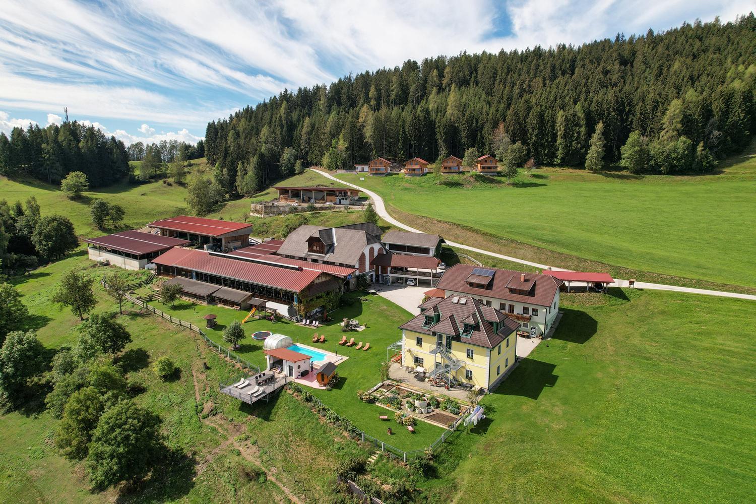 Erlebnisbauernhof Steinerhof In Kaernten Liebenfels Zewnętrze zdjęcie